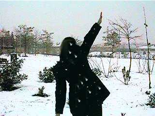 Oto&ntilde;o en Nieva York